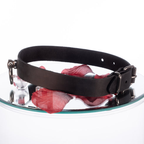 SiaLinda: Halsband echtes Leder schwarz mit großem Edelstahlring O-Ring 20mm, Geschenkverpackung