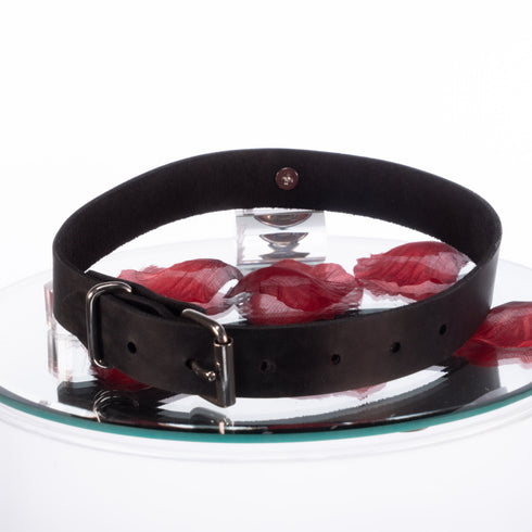 SiaLinda: Halsband echtes Leder schwarz mit großem Edelstahlring O-Ring 20mm, Geschenkverpackung