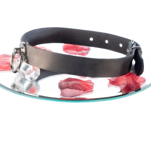 SiaLinda: Kurzes Halsband Leder mit großem O-Ring 20mm, Serie Nummer 12 Silver, Geschenkverpackung