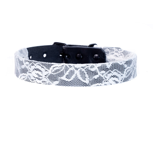 SiaLinda: Gothic Halloween Halsband schwarz mit weißer Spitze, Vacchetta-Leder, solo oder mit O-Ring