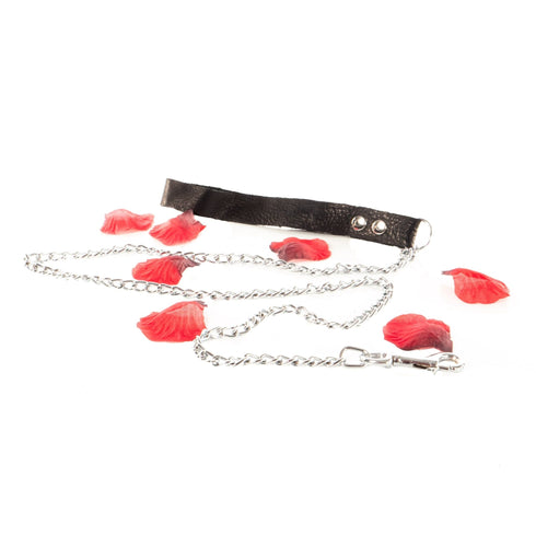 Set aus Halsband Nummer 12 soft mit Leine Classic zum Sparpreis Sparset - SiaLinda.com