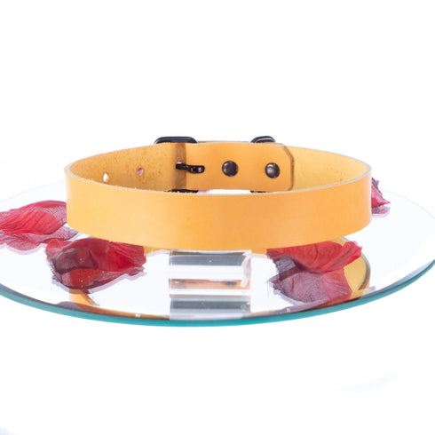 SiaLinda: BDSM Halsband Premium Vacchetta Leder aus Italien honig gelb, mit oder ohne Ring, Geschenkverpackung - SiaLinda.com