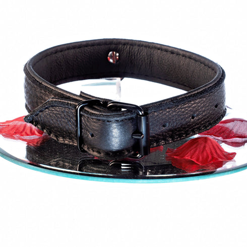 SiaLinda: Halsband echtes Elch Leder schwarz 30mm, solo oder mit O - Ring, Geschenkverpackung - SiaLinda.com