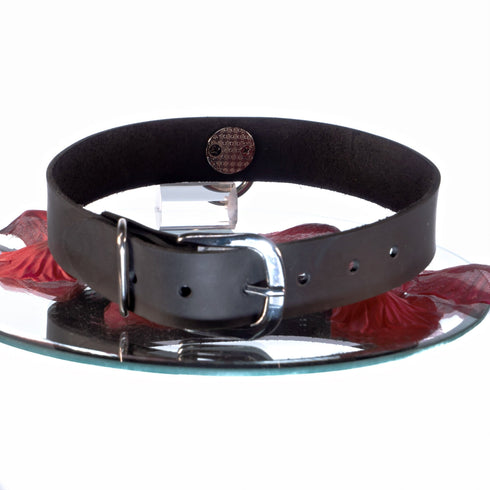 SiaLinda: Halsband echtes Leder schwarz 25mm, solo oder mit O - Ring | Geschenkverpackung. - SiaLinda.com