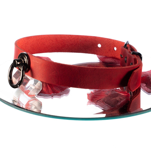 SiaLinda: Halsband Leder Serie Nummer 12 Rot, mit großem O - Ring 20mm, Geschenkverpackung - SiaLinda.com