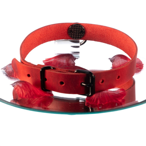 SiaLinda: Halsband Leder Serie Nummer 12 Rot, mit großem O - Ring 20mm, Geschenkverpackung - SiaLinda.com