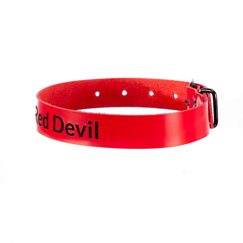 SiaLinda: YOU Halsband Red Devil ohne Ring, personalisiertes Lackleder Halsband rot, individuelle Gravur - SiaLinda.com