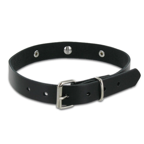 SiaLinda: Halsband echtes Leder schwarz mit 2 Straß - Kristallen und großem O-Ring 20mm, Geschenkverpackung