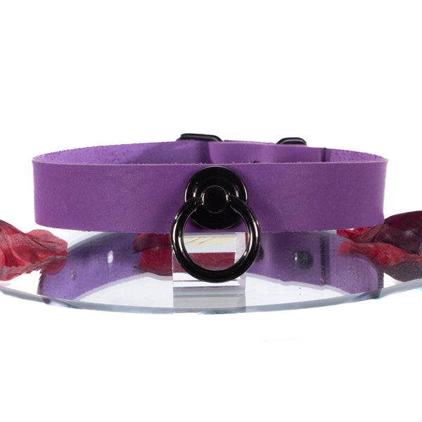 SiaLinda: BDSM Halsband Premium Vacchetta Leder aus Italien violett purple, mit oder ohne Ring, Geschenkverpackung - SiaLinda.com