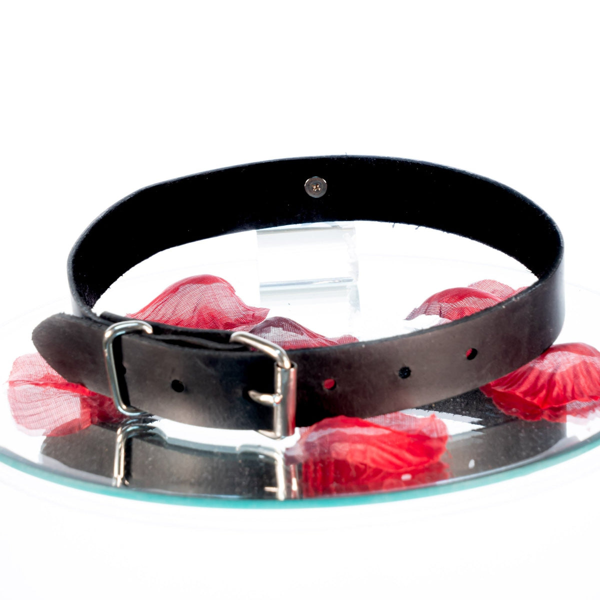 SiaLinda: Halsband echtes Leder schwarz mit kleinem O-Ring 12mm,  Geschenkverpackung