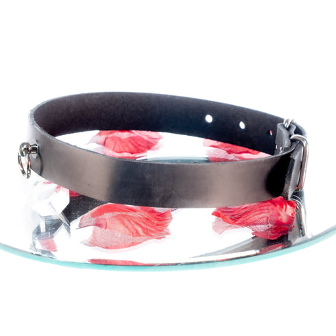 SiaLinda: Halsband echtes Leder schwarz mit kleinem O-Ring 12mm, Geschenkverpackung - SiaLinda.com