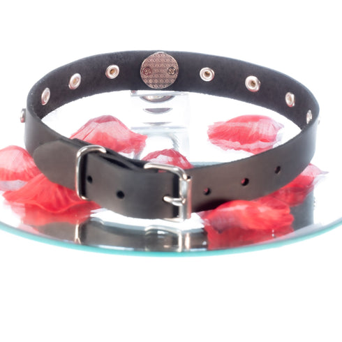 SiaLinda: Halsband echtes Leder schwarz mit transparenten 8 Straß - Kristallen und großem O-Ring 20mm, Geschenkverpackung - SiaLinda.com