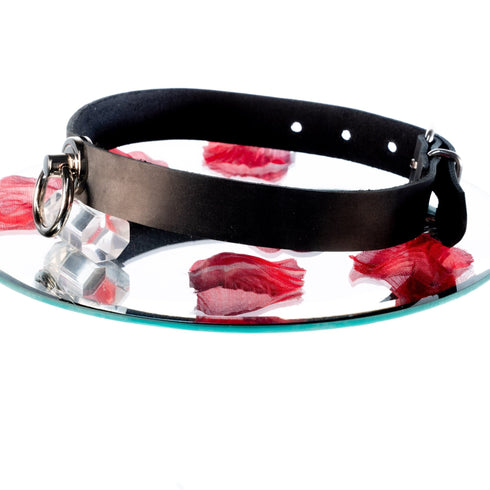 SiaLinda: Halsband Leder mit großem O-Ring 20mm, Serie Nummer 12 Silver, Geschenkverpackung - SiaLinda.com