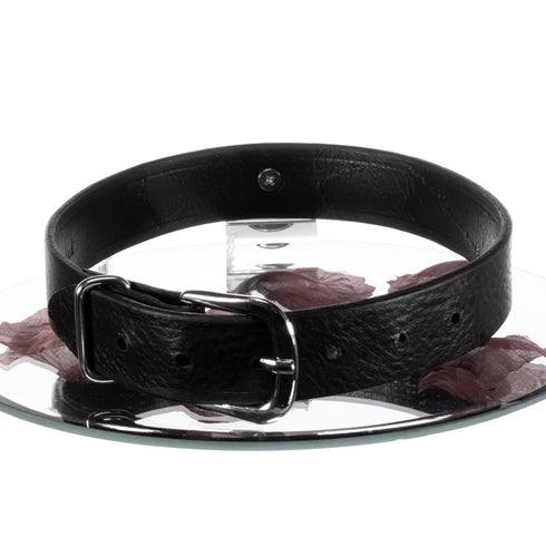 SiaLinda: Halsband Leder O-Ring Edelstahl, Serie Nummer 12, Strong 25mm breit - SiaLinda.com