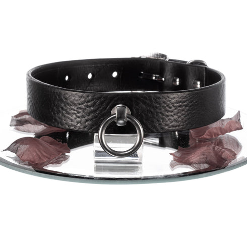 SiaLinda: Halsband Leder O-Ring Edelstahl, Serie Nummer 12, Strong 25mm breit - SiaLinda.com