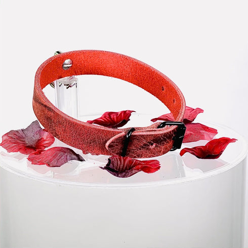 SiaLinda: Halsband Nova Büffelleder rot schwarz, pur, mit Kristall oder mit O-Ring - SiaLinda.com