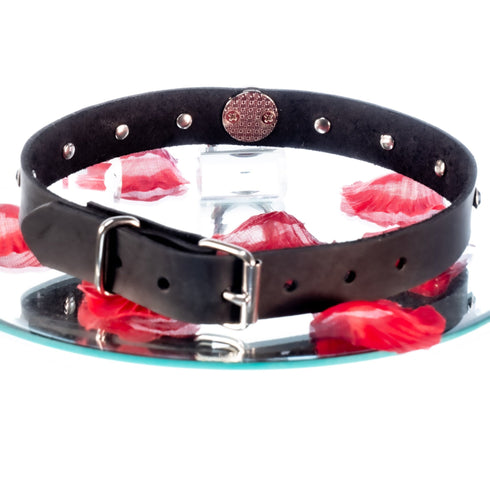 SiaLinda: Halsband Nr. 13 schwarz 8 Straß Kristalle und großem O-Ring 20mm, echt Leder schwarz - SiaLinda.com