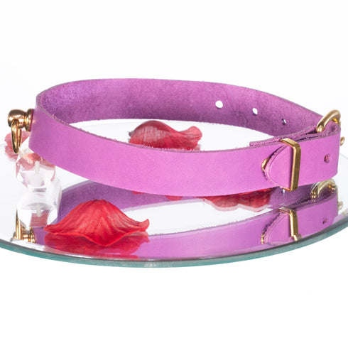 SiaLinda: Halsband Vacchetta Leder aus Italien violett purple, goldener O-Ring, Premium, Geschenkverpackung - SiaLinda.com