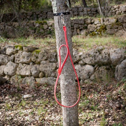 SiaLinda: Leine echtes Leder, rot, 120 cm lang - SiaLinda.com