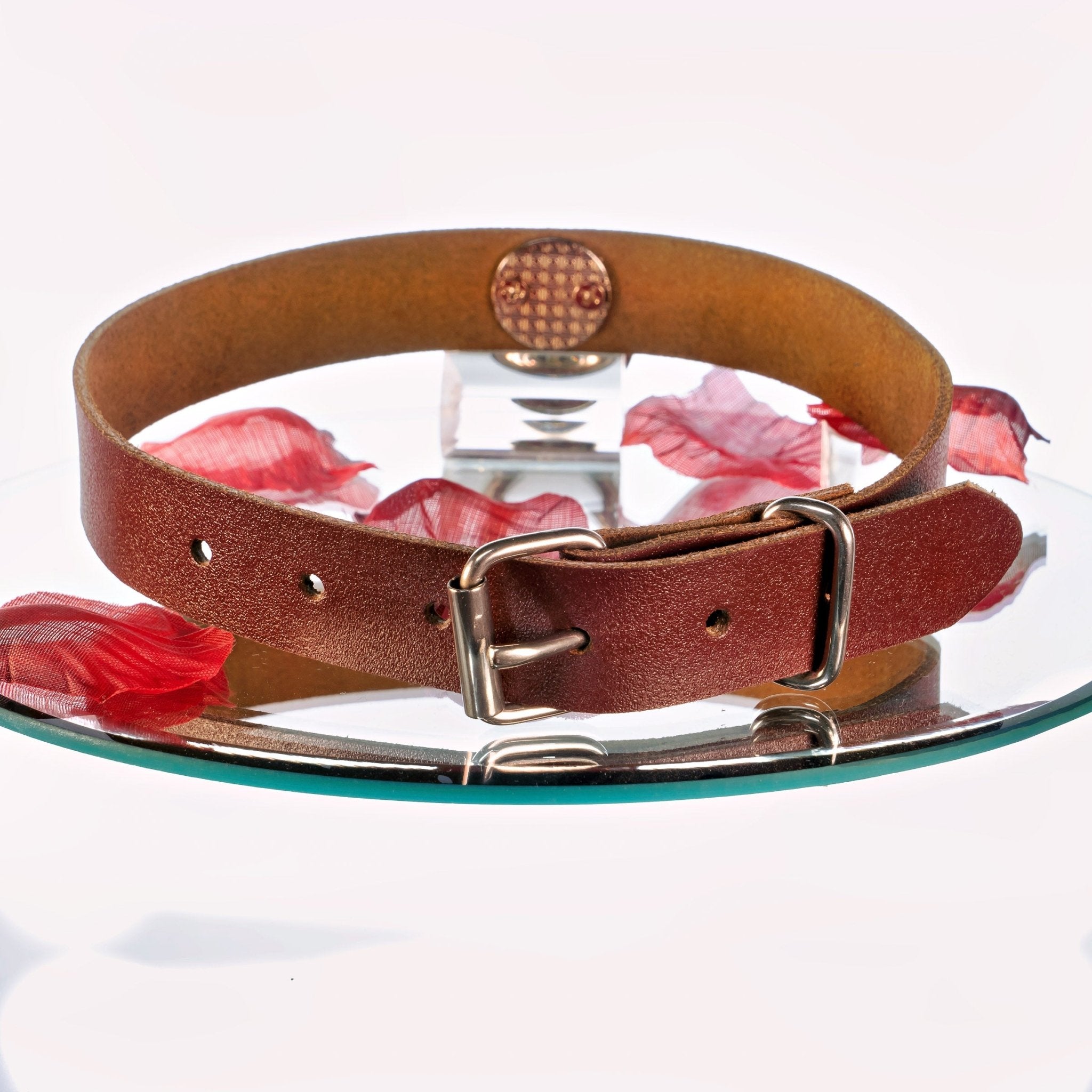 YOU BROWNIE Limited Edition Personalisiertes Halsband mit Wunschtext, mit oder ohne O - Ring, individuell erstellt. Geschenkverpackung. - SiaLinda.com